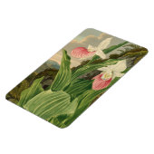 Frauenschuh Vintage-Botanik-Orchidee Magnet (Linke Seite)
