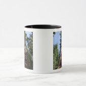 Frauenvideotaping an der Basis von massiven Sequoi Tasse (Zentrum)