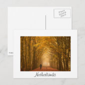 Frauenwanderung mit Hund auf Herbst-Morgenkarte Postkarte (Vorne/Hinten)