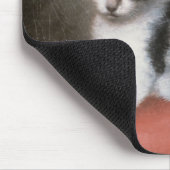 Fräulein Ann Whites Kitten, 1790 George-Stubbs | Mousepad (Ecke)