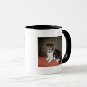 Fräulein Ann Whites Kitten, 1790 George-Stubbs | Tasse (VorderseiteRechts)