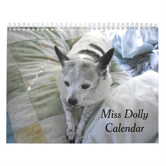 Fräulein Dolly Calendar Kalender (Titelbild)