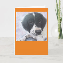 Fräulein Fannie - englischer SpringerSpaniel - Karte