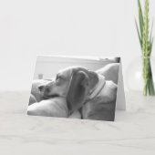 Fräulein Sie Karte (Vorderseite)