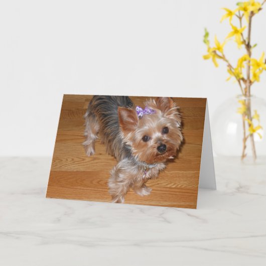 Fräulein You Karte (Gelbe Blume)