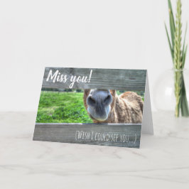 Fräulein You Wish I Could sehen Sie zu löschen Karte