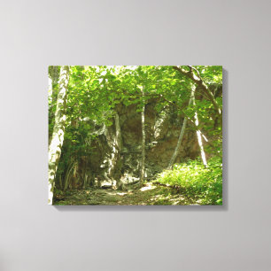 Frazier Discovery Trail bei Shenandoah Fotografie Leinwanddruck