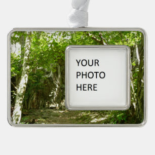 Frazier Discovery Trail bei Shenandoah Fotografie Rahmen-Ornament Silber