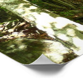 Frazier Discovery Trail bei Shenandoah Fotografy Poster (Ecke)