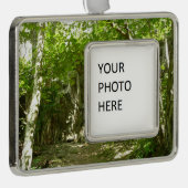 Frazier Discovery Trail bei Shenandoah Fotografy Rahmen-Ornament Silber (Rechts)