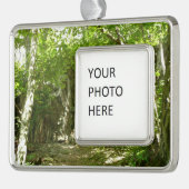 Frazier Discovery Trail bei Shenandoah Fotografy Rahmen-Ornament Silber (Links)