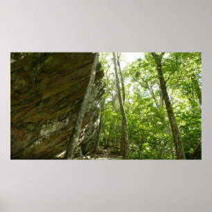 Frazier Felsen-Wand in Shenandoah Nationalpark Poster