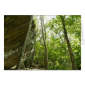 Frazier Rock Wall im Shenandoah-Nationalpark (Vorderseite (Horizontal))