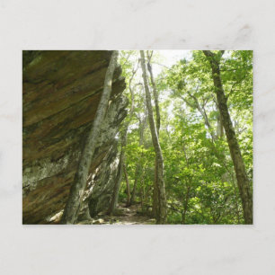 Frazier Rock Wall im Shenandoah-Nationalpark Postkarte