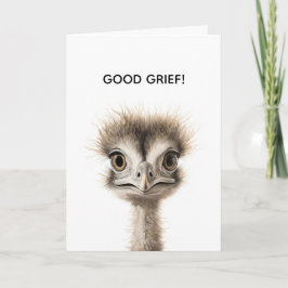 FRAZZLED BELATED BIRTHDAY CARD DANKESKARTE