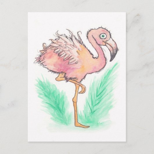 Frazzled Flamingo Postcard Postkarte (Vorderseite)