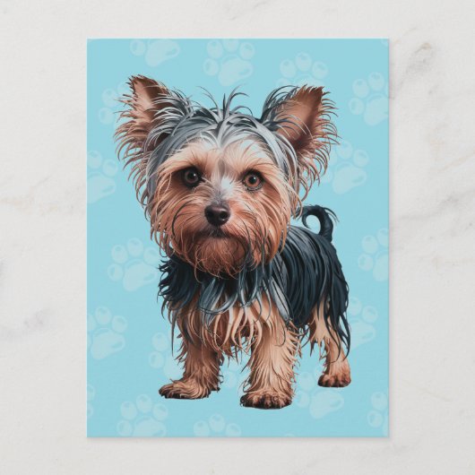 Frazzled Yorkie Dog Postcard Yorkshire Terrier Postkarte (Vorderseite)