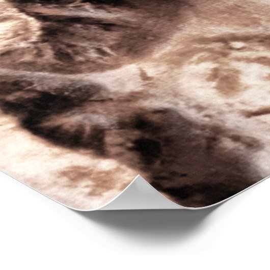 Freak Show Poster (Ecke)