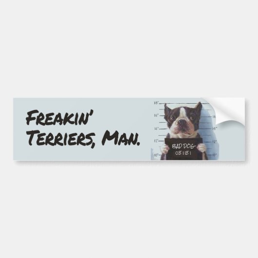 Freakin' Terriers, Mann. Autoaufkleber (Vorne)