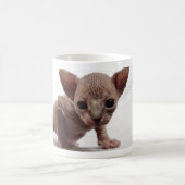 Freaky Niedlich Furless Sphynx Kitten Kaffeetasse (Mittel)
