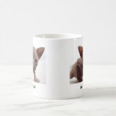 Freaky Niedlich Furless Sphynx Kitten Kaffeetasse (Mittel)