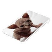 Freaky Niedlich Furless Sphynx Kitten Magnet (Linke Seite)