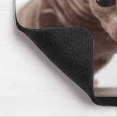 Freaky Niedlich Furless Sphynx Kitten Mousepad (Ecke)
