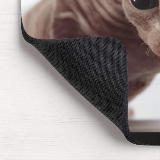 Freaky Niedlich Furless Sphynx Kitten Mousepad (Ecke)