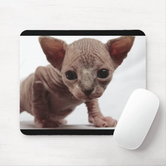 Freaky Niedlich Furless Sphynx Kitten Mousepad (Mit Mouse)