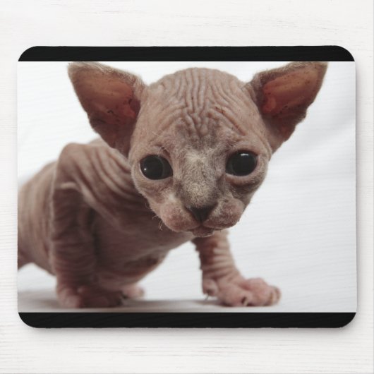 Freaky Niedlich Furless Sphynx Kitten Mousepad (Vorne)