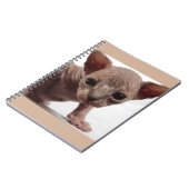 Freaky Niedlich Furless Sphynx Kitten Notizblock (Linke Seite)
