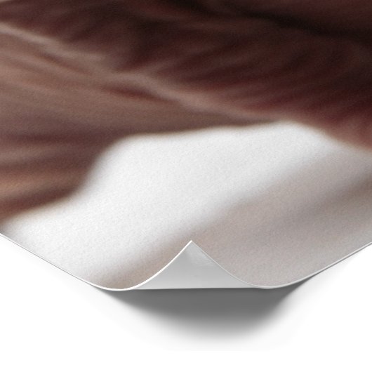 Freaky Niedlich Furless Sphynx Kitten Poster (Ecke)