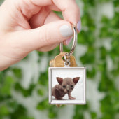 Freaky Niedlich Furless Sphynx Kitten Schlüsselanhänger (Hand)