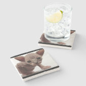 Freaky Niedlich Furless Sphynx Kitten Steinuntersetzer (Seitenansicht)