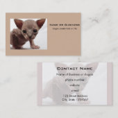 Freaky Niedlich Furless Sphynx Kitten Visitenkarte (Vorne/Hinten)