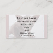 Freaky Niedlich Furless Sphynx Kitten Visitenkarte (Rückseite)