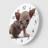 Freaky niedliches Furless Sphynx Kätzchen Große Wanduhr (Winkel)