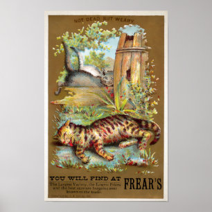 Frears Cat Trade Card Nr. 5 (von 6) Poster
