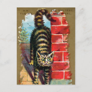 Frears Kat Trade Card #2 (von 6) Postkarte
