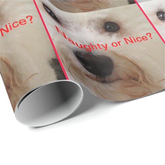 Frech oder Nizza? - Giftwrap Geschenkpapier (Rolleneckpunkt)