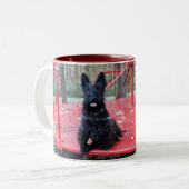 frech zweifarbige tasse (Vorderseite Links)