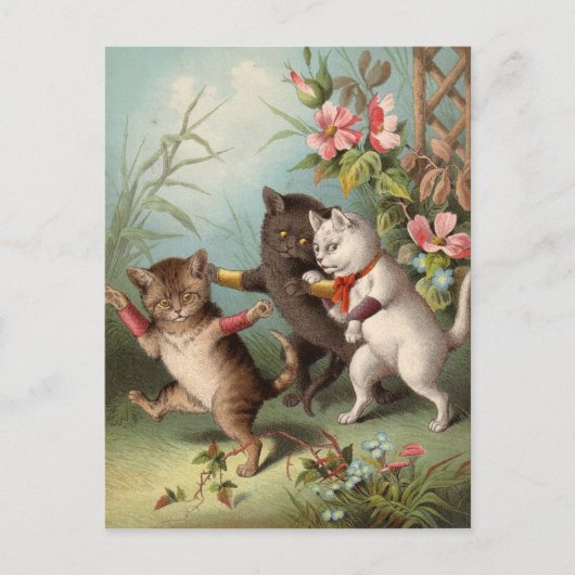 Freche Katzen Postkarte (Vorderseite)