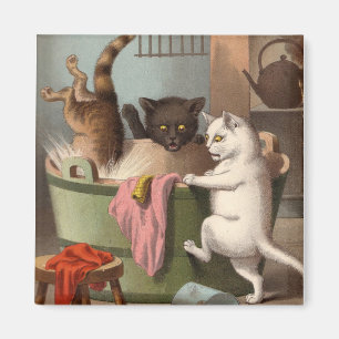 Freche Katzen - Washday Kühlschrankmagnet