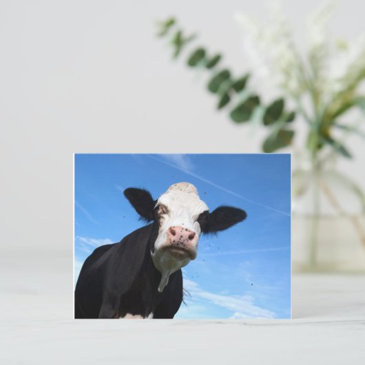 freche Kuh Postkarte (Stehend Vorderseite)