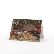 Freche und nette Welpen