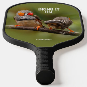 Freche Zebrafinken Singvögel auf Ast Pickleball Schläger