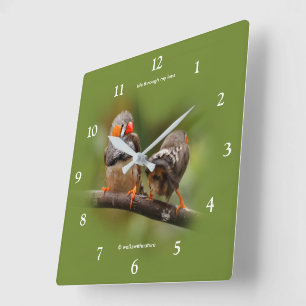 Freche Zebrafinken Singvögel auf Ast Quadratische Wanduhr