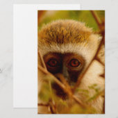 Frecher Affe. Briefpapier (Vorne/Hinten)