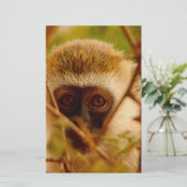 Frecher Affe. Briefpapier (Stehend Vorderseite)