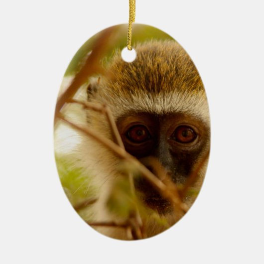 Frecher Affe. Keramikornament (Vorne)